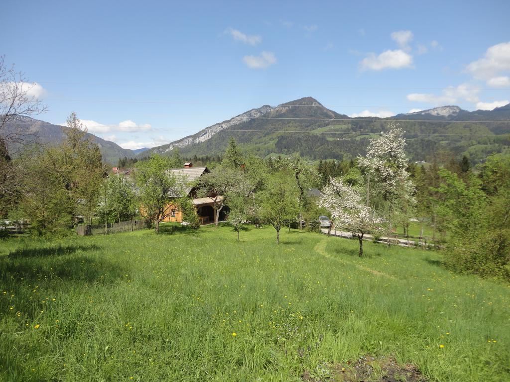 Chalet Ramsau 8 Bad Goisern Exterior foto