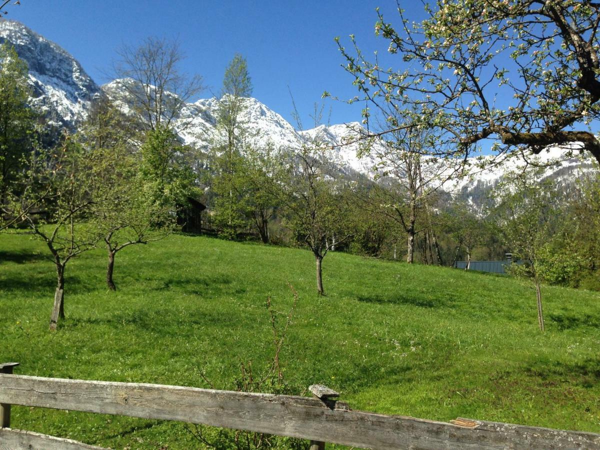 Chalet Ramsau 8 Bad Goisern Exterior foto